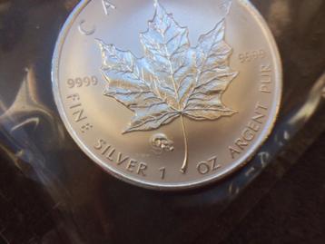 LAATSTE - 2008 Canada - Maple leaf Privy RAT - 1 oz silver  beschikbaar voor biedingen