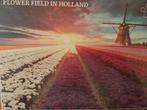 Flowerfield in Holland legpuzzel, Hobby en Vrije tijd, Denksport en Puzzels, Ophalen of Verzenden, 500 t/m 1500 stukjes, Nieuw