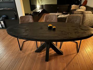 Mooie robuuste ovaal tafel zwart.  beschikbaar voor biedingen