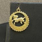 Gouden Hanger | 14k | 1,76g | steenbok rond | 353986, Goud, Goud, Gebruikt, Ophalen of Verzenden