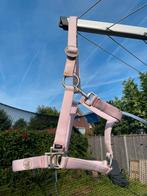 Halster maat cob, Dieren en Toebehoren, Ophalen of Verzenden, Gebruikt