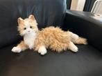 Interactieve Robot Kat voor Dementie - Oranje, Kinderen en Baby's, Speelgoed | Knuffels en Pluche, Ophalen, Nieuw, Poes
