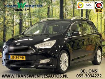 Ford Grand C-Max 1.0 Titanium | 1ste eigenaar | Origineel Ne beschikbaar voor biedingen