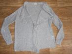 THANEE grijs glitter vest maat M, Ophalen of Verzenden, Zo goed als nieuw, Maat 38/40 (M), Grijs