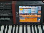 wersi sg, Muziek en Instrumenten, Orgels, Ophalen, Gebruikt, 2 klavieren, Orgel