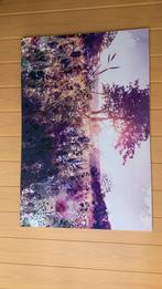 Prachtig Canvas Schilderij, Antiek en Kunst, Ophalen