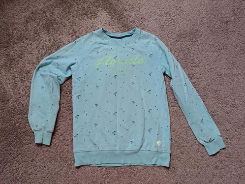 WE trui maat 170, Kinderen en Baby's, Kinderkleding | Maat 170, Gebruikt, Jongen, Trui of Vest, Ophalen of Verzenden
