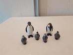 Playmobil 6649 pinguïns met jongen compleet, Ophalen of Verzenden, Zo goed als nieuw, Complete set