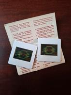 LEITZ Test-Dia, test slides, diapo test, Ophalen of Verzenden, Nieuw