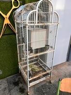 Kooien, Ophalen of Verzenden, Zo goed als nieuw, Hout, Vogelkooi