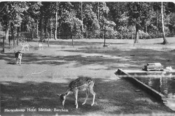 (387-203-033) Barchem Hertenkamp beschikbaar voor biedingen