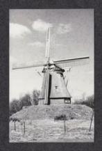 Foto Aalden Molen Jantina Helling., Foto, Ophalen of Verzenden, Zo goed als nieuw, 1940 tot 1960