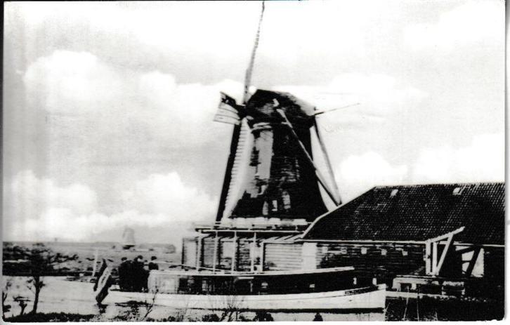 KOOG aan de ZAAN - OLIEMOLEN De WEZEL (Gesloopt 1899), Verzamelen, Ansichtkaarten | Nederland, Ongelopen, Noord-Holland, 1960 tot 1980