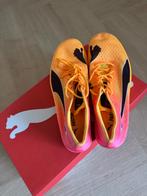 Nieuwe Puma spikes (lange afstand), Overige merken, Nieuw, Ophalen of Verzenden, Spikes