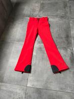 Nieuwstaat goldbergh skibroek 36 long, Kleding | Dames, Wintersportkleding, Ophalen of Verzenden, Zo goed als nieuw, Maat 36 (S)