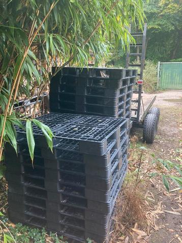 Plastic pallets beschikbaar voor biedingen