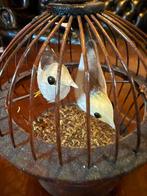 Vintage Vogelkooi (met geluid ) met Vogels Decoratie, Ophalen of Verzenden, Gebruikt
