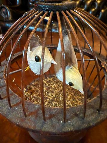 Vintage Vogelkooi (met geluid ) met Vogels Decoratie beschikbaar voor biedingen