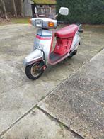 Honda Lead 125 - Oldtimer uit 1983 - Uniek!, Fietsen en Brommers, Ophalen, Overige merken