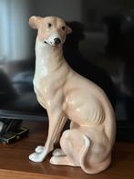 groot porseleinen hond whippet italiaans windhond, Ophalen of Verzenden