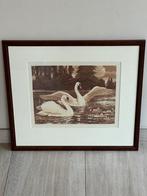 Oude WB lithografie schilderij Zwanen duo, Antiek en Kunst, Ophalen of Verzenden