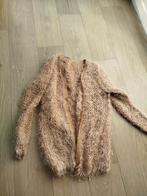 Vest, Kinderen en Baby's, Kinderkleding | Maat 146, Ophalen of Verzenden, Zo goed als nieuw, Meisje, Trui of Vest