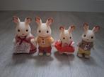 Sylvanian family, Kinderen en Baby's, Speelgoed | Poppenhuizen, Ophalen of Verzenden, Zo goed als nieuw, Toebehoren