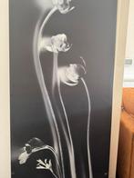Photo print, Ophalen