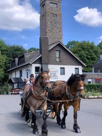 Hotel te koop Duitsland | Uniek gelegen | Direct beschikbaar beschikbaar voor biedingen