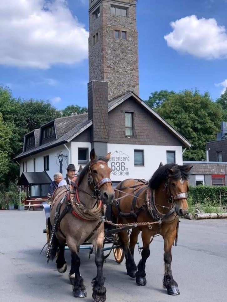 Hotel te koop Duitsland | Uniek gelegen | Direct beschikbaar, Zakelijke goederen, Exploitaties en Overnames