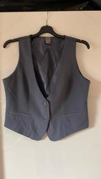 Dames Gilletje, Kleding | Dames, Vero Moda, Maat 42/44 (L), Ophalen of Verzenden, Zo goed als nieuw