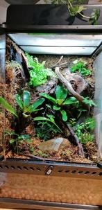 Exo-terra terrarium; mini 'tall' met toebehoren, Ophalen, Gebruikt, Terrarium of Paludarium