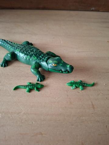 Alligator nr 70358 beschikbaar voor biedingen