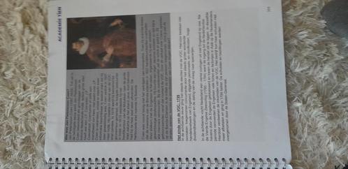 Geschiedenis boek na de eerste wereld oorlog, Boeken, Kunst en Cultuur | Beeldend, Gelezen, Overige onderwerpen, Ophalen