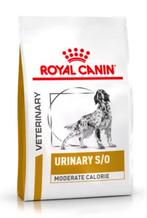 Royal Canin Veterinary Urinary S/O hondenbrokjes 5 kilo, Ophalen of Verzenden, Hond
