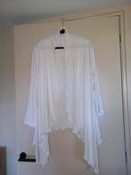 vestje diverse kleuren 46 48 50 52 54 56 58 60-64, Ophalen of Verzenden, Nieuw, Wit, Trui of Vest