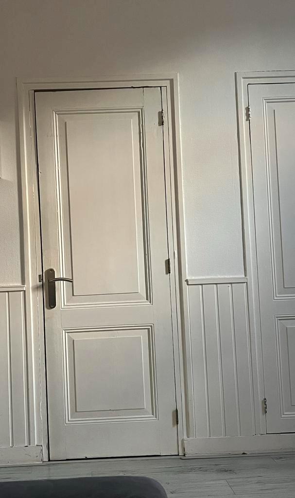 Gezocht: 2 gelijke paneeldeuren, Doe-het-zelf en Verbouw, Deuren en Horren, Gebruikt, Binnendeur, 200 tot 215 cm, 80 tot 100 cm