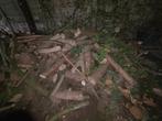 Haardhout, Tuin en Terras, Haardhout, 6 m³ of meer, Ophalen, Overige houtsoorten, Blokken