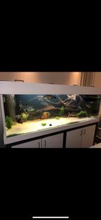 Aquarium, Ophalen, Zo goed als nieuw, Leeg aquarium