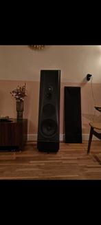 Thiel CS 3.6 Luidsprekers - Topklasse!, Audio, Tv en Foto, Luidsprekers, Gebruikt, 120 watt of meer, Front, Rear of Stereo speakers