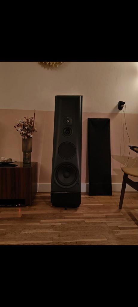 Thiel CS 3.6 Luidsprekers - Topklasse!, Audio, Tv en Foto, Luidsprekers, Gebruikt, Front, Rear of Stereo speakers, 120 watt of meer