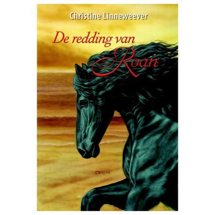 De redding van Roan / Christine Linneweever, Boeken, Kinderboeken | Jeugd | 10 tot 12 jaar, Zo goed als nieuw, Ophalen of Verzenden