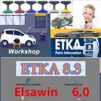 PETKA 8.3 + ElsaWin 6.00 + WDS Porsche [meertalig] VM, Verzenden