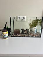 Vissenkom, incl. 3 guppies, filterpomp, voer, Dieren en Toebehoren, Ophalen of Verzenden, Zo goed als nieuw, Gevuld zoetwateraquarium