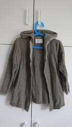 Vest Zara - maat 110, Gebruikt, Trui of Vest, Ophalen of Verzenden, Zara