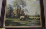 BOEREN PAARDEN IN DE WEI * Olieverf op Linnen *, Antiek en Kunst, Ophalen of Verzenden