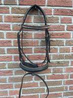 Hoofdstel maat Cob, Dieren en Toebehoren, Paarden en Pony's | Hoofdstellen en Tuigage, Ophalen of Verzenden, Gebruikt, Recreatie