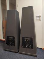 Zuaudio Experience, Overige merken, Gebruikt, Ophalen of Verzenden, 120 watt of meer