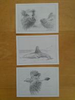 E.van Merkerk ansichtkaarten, Verzamelen, Ophalen of Verzenden, Ongelopen