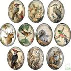 Cabochons met dieren afbeeldingen, Ophalen of Verzenden, Nieuw, Overige typen